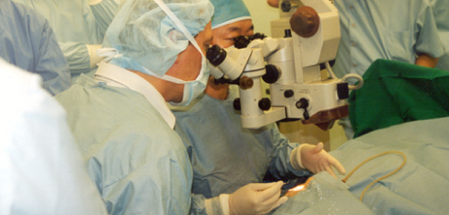 광범위한 임상 경험 및 노하우